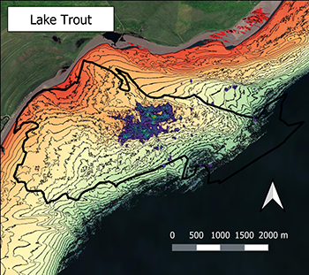 A map shows the data from telemetry studies showing lake trout activity on Buffalo Reef.