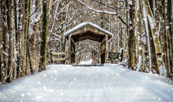 Snowflakes float through the air in front of a charming, covered wooden bridge in South Haven