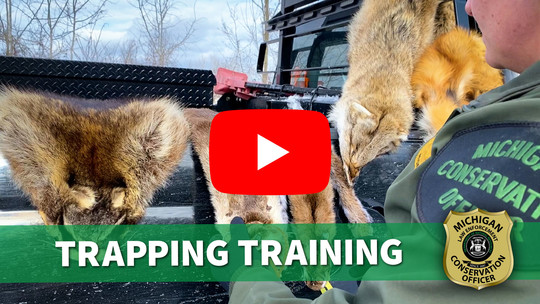 trapping