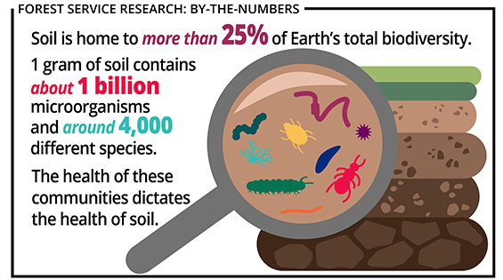 Soil health graphic: soil has 25%+ of the earth's biodiversity. I gram of soil contains 1 billion microorganisms and around 4,000 species.