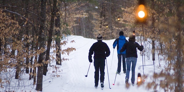 back view of three people cross-country skiing down a snow-covered, lantern-lit trail