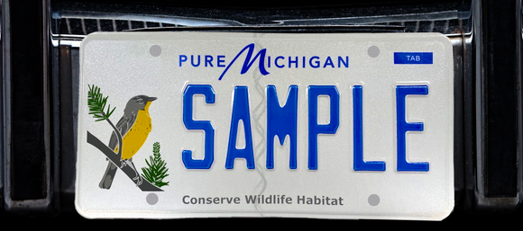 An image of a Michigan license plate featuring the Kirtland's warbler and the text Conserve Wildlife Habitat on the bumper of a car.