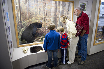 Man, woman and two young boys look at black bear exhibit