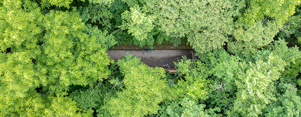 two people running on paved trail through canopy of trees