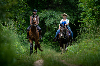 three horseback riders riding on a trail