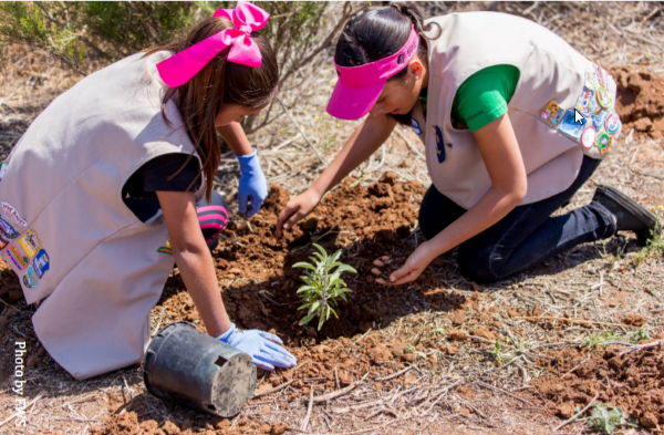 Report cover image, of two girls wearing scouting organization gear planting a plant in the soil