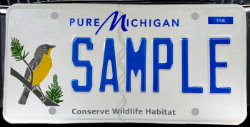 Kirtland's Warbler license plate