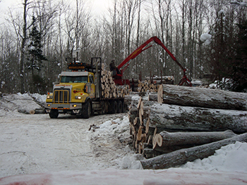 Logging equipment is shown on the site of a timber harvesting job on Commercial Forest property in Michigan.