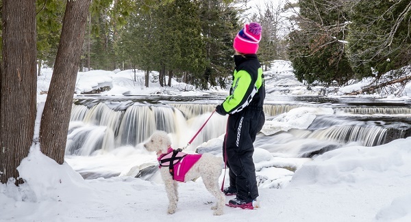 a young person bundled up in winter outerwear walks a white, fluffy dog on a leash and wearing a vest, in front of snowy, frozen waterfall