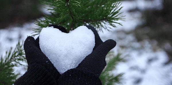 dark blue mittened hands hold a heart-shaped snowball in front of a dark green pine tree, some snow around