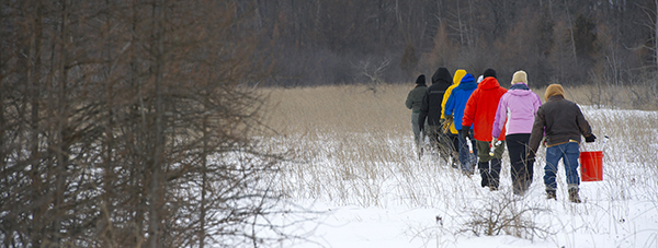 line of stewardship volunteers walking through snowy field