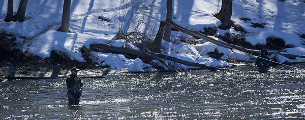 Man steelhead fishing on river with snowy banks