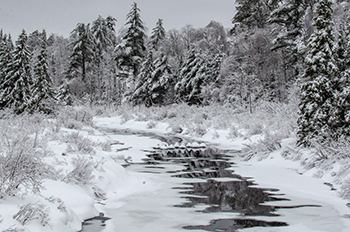 A winter scene shows Morgan Creek in Marquette County.