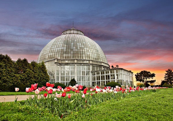 gray, glass-domed conservatory building against a cloudy, pink-lit sky, with pink, red and white tulips and lush green grass in foreground