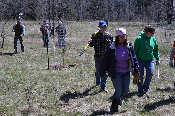 A group of volunteers, some carrying shovels, walk through a field while on a tree-planting project.