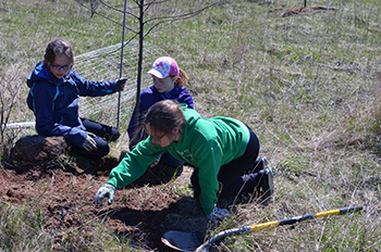 Three young girls plant a tree as part of a larger volunteer project to improve habitat for wildlife.