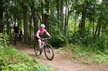 A small group of mountain bike riders emerging from the woods single-file, on a curving, dirt trail surrounded by lush green trees.