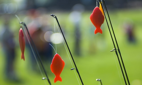 the tops of four, upright black fishing rods, with orange goldfish-shaped bobbers tied to the line, and blurred grass and people in background