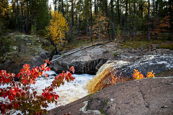 A tannin-stained waterfall rushes between boulders with the leaves of trees in autumn colors.