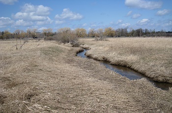A narrow, dark stream twists through a low-lying, dried, grassy area, with large trees in the distance; gray sky dotted with white clouds.