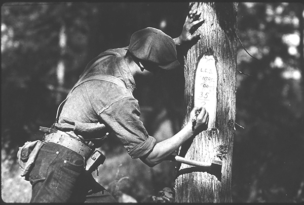 A historic photo shows a land surveyor, next to a numbered tree, involved in early mapping of Michigan.