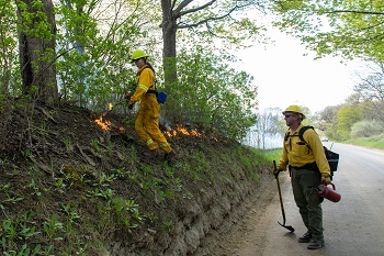 Two DNR firefighters (a woman on a small hill, a man on street below) dressed in yellow gear, control a prescribed fire on a grassy area.