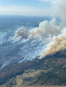 Smoke from the Blue Lakes Fire billows out of the forest in an aerial image taken by a fire spotter plane. 