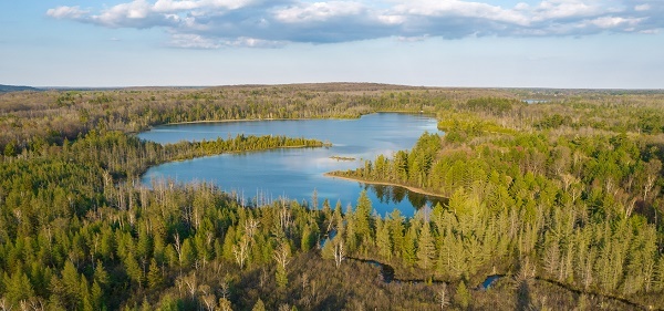 aerial view of blue lakes and waterways, lush green pines, forested areas at Rifle River Recreation Area. Blue sky with feathery white clouds