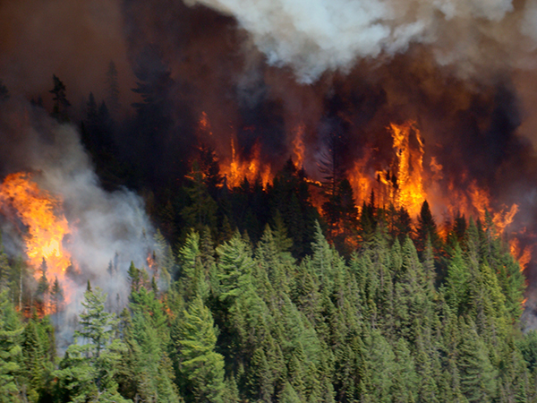 The Duck Lake Fire raged in northern Luce County a decade ago.