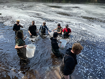 group of students in river stocking fish from a bucket