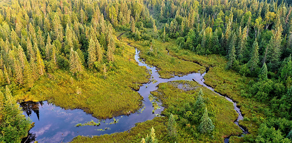 aerial view of Manistee River headwaters