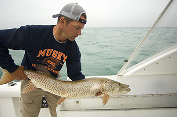 angler on a boat holding a muskie