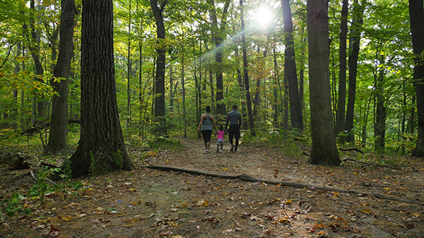 woman, man and young girl holding hands and walking on trail through sunlit forest