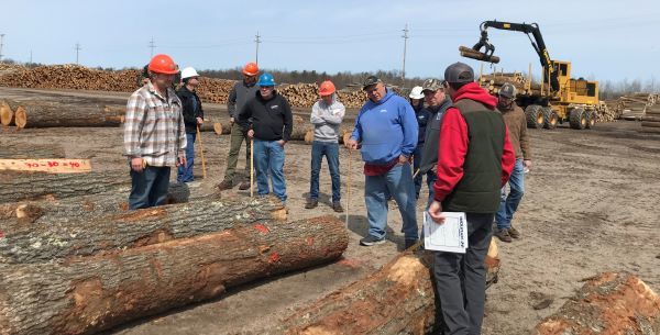 Participants gather near cut timber for a log scaling class