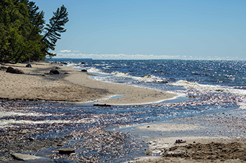 A shimmering, glimmering Lake Superior is shown on a sunny day along the trail.