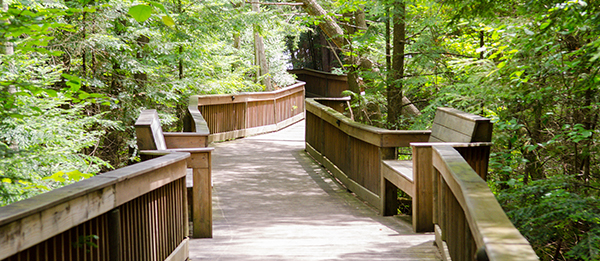 boardwalk through the forest at RAM Center