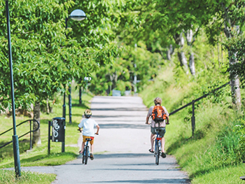 two people riding bicycles on paved, tree-lined path