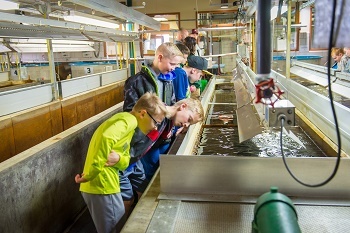 A group of children is shown on a tour of the Wolf Lake State Fish Hatchery.
