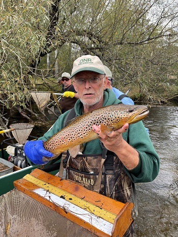 DNR Fisheries Division Chief Jim Dexter is shown holding a large brown trout.