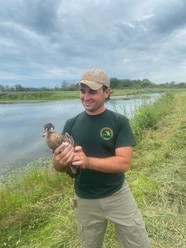 Wildlife technician Adam Shook stands on the grassy shore of a wetland holding a wood duck.