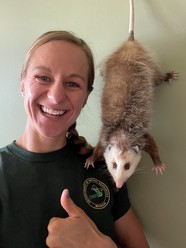 Wildlife Biologist Kaitlyn Barnes next to a taxidermied opossum.