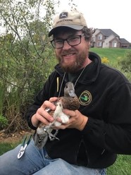 Wildlife technician John Darling sits outside holding a banded duck.