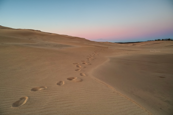 A single set of footprints stretches across a sand dune into the evening light.
