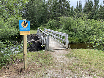 A sign for the new trail is shown posted near a bridge over a creek in the eastern Upper Peninsula.