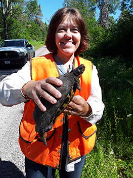 Pam Nankervis is pictured with a turtle.  (Photo courtesy of Pam Nankervis)