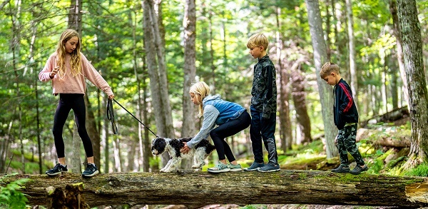two little blond girls lead a leashed black and white dog across a downed tree log, with two little blond boys following behind them in the forest
