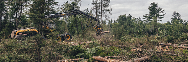 A forwarder is shown working on an active lumbering site in a Michigan woodland.