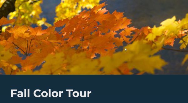 Fall color tour banner with leaf image and white text on blue background