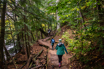 three people hiking on trail through forest