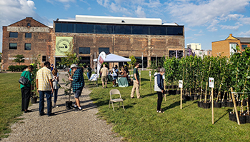 A tree giveaway in 2021 brought people downtown to take home one of five available varieties of trees. 